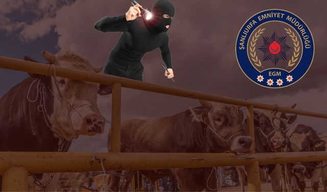 Şanlıurfa İl Emniyet Müdürlüğü Uyardı: Bu Oyuna Gelmeyin!