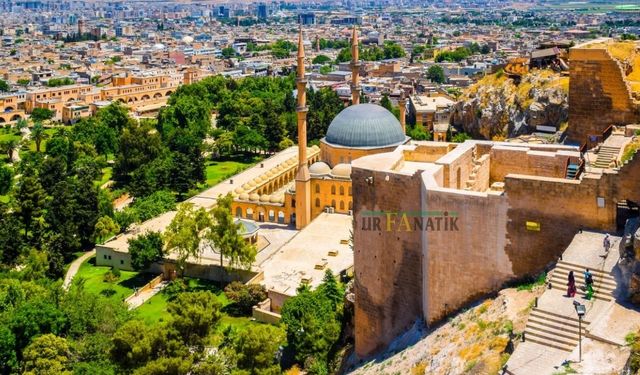 Önceden Almak İçin Sıraya Girilirdi… Şimdi Çöpe Atılıyor