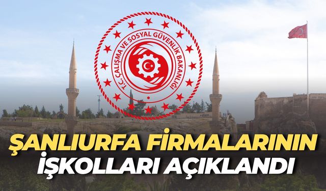 Bakanlık, Şanlıurfa Firmalarının İşkolu Tespitlerini Resmi Gazete’de Duyurdu