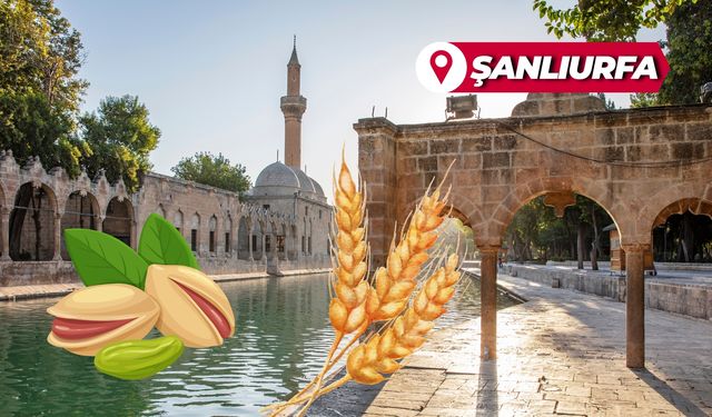 Tarımın Başkenti Şanlıurfa Sınıfta Kaldı!