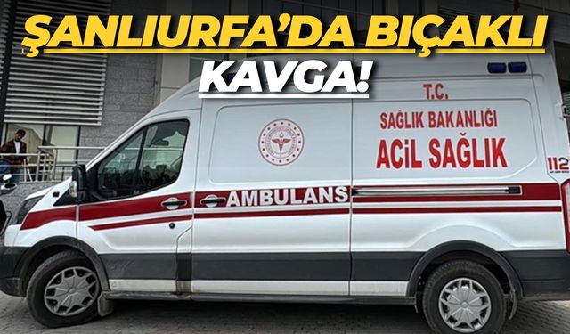 Şanlıurfa Suruç’ta Bıçaklı Kavga!