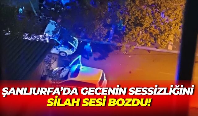 Şanlıurfa’da Gecenin Sessizliğini Silah Sesi Bozdu!