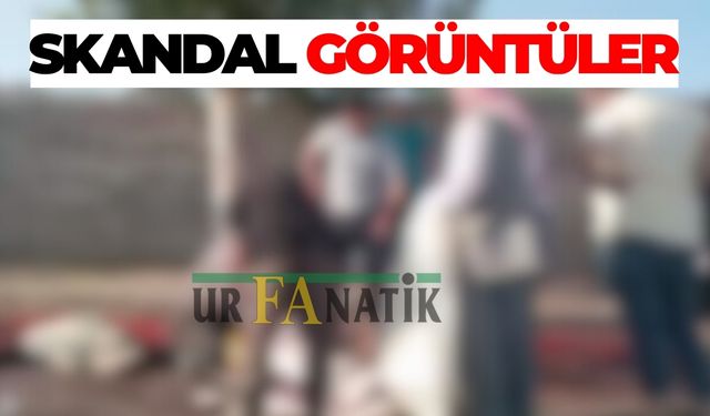 Şanlıurfa’da Kurban Bayramı’nda Skandal Görüntüler