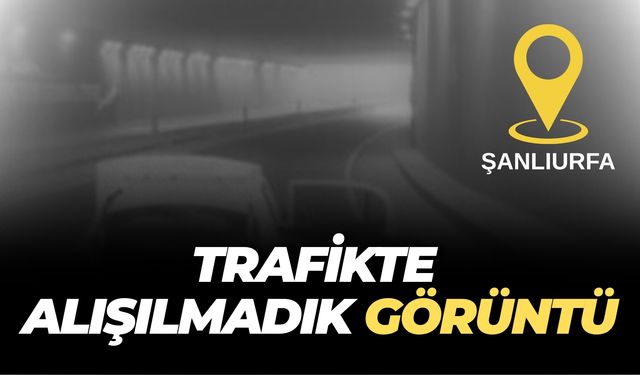 Şanlıurfa’da Buda Oldu: Trafikte Görenleri Şaşkına Çeviren Anlar