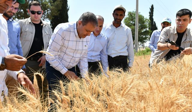Şanlıurfa’da Tarımda 32 Çeşit Üretildi, 4 Yeni Çeşit İçin Geri Sayım Başladı