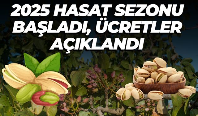 Şanlıurfa Halfeti’de 2025 Fıstık Hasadı İçin Ücret Tarifesi Belirlendi