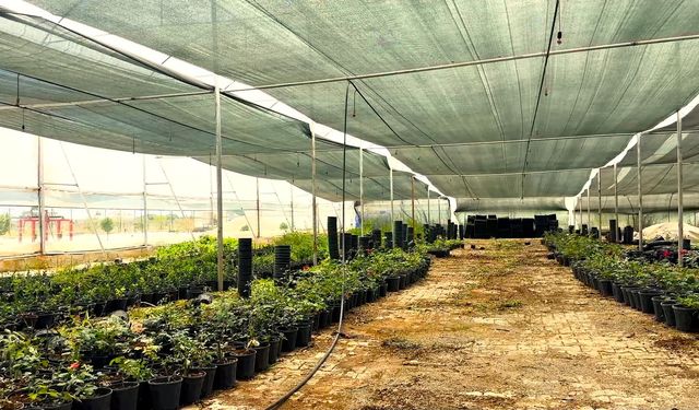 Şanlıurfa’da Çiftçilere Büyük Destek: Modern Sera ve Kırsal Kalkınma Hibeleri Başladı