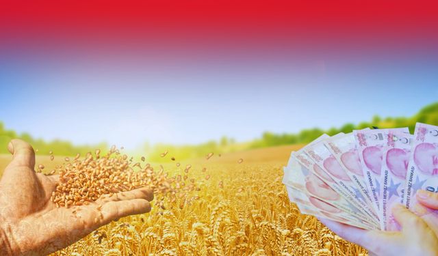 Şanlıurfa’da Çiftçilerin Gözü Telefonda: O Mesaj Bugün Geliyor