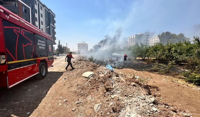 Şanlıurfa Haliliye’de Ağaçlık Alanda Yangın Paniği