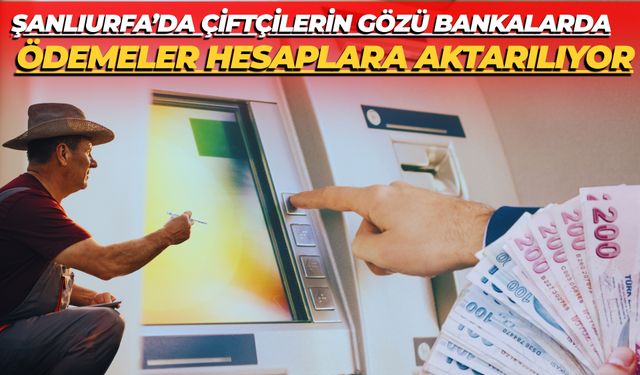 Şanlıurfa’da Çiftçilerin Gözü Bankalarda: Ödemeler Hesaplara Aktarılıyor