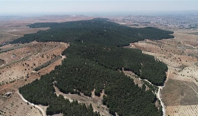 Şanlıurfa Gölpınar Tabiat Parkına Girişler Yasaklandı