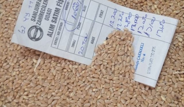 Mercimek Altınla Yarışıyor: Şanlıurfa’da Rekor Fiyat!