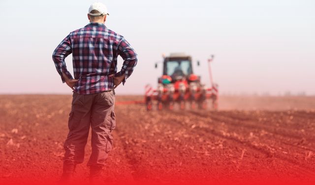 Çiftçilere Soya Şartlı Destek Müjdesi: Ek Ödeme Uygulaması Başladı