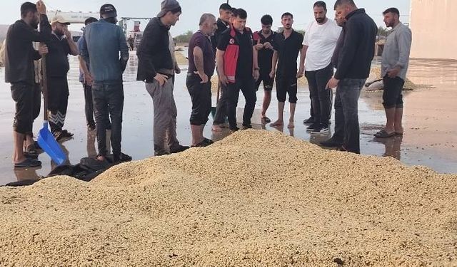 Şanlıurfa Bozova’da Sel Felaketi: Fıstık İşletmeleri Sular Altında Kaldı
