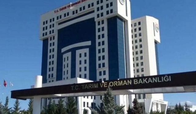 Gıda Ambalajlarında Yanıltıcı Görsellere Yasak Geldi