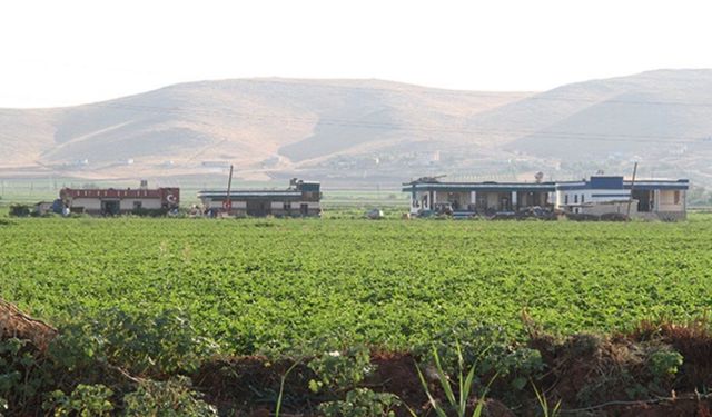Şanlıurfa Valisi Hasan Şıldak Açıkladı: Tarım Arazileri İçin Yeni Dönem Başladı