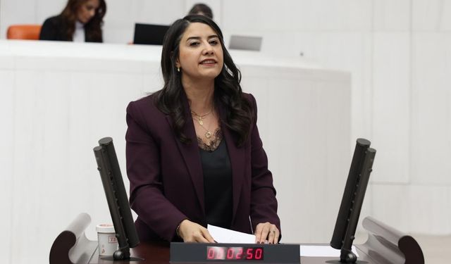 Dilan Kunt Ayan’dan Bakanlığa Sert Soru: Urfa İflasın Eşiğinde mi?