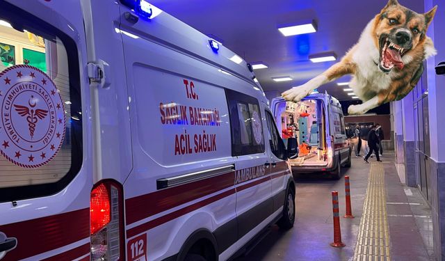 Şanlıurfa’daki Olay İçin Müfettiş Görevlendirildi