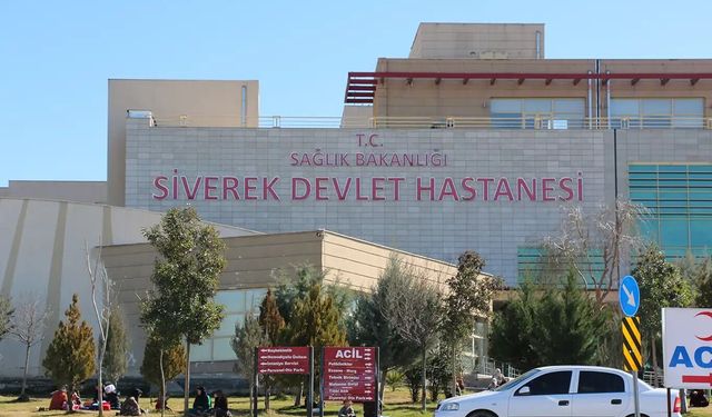 Şanlıurfa'da Aile Faciası: Anne Ve Kızı Silahla Vuruldu