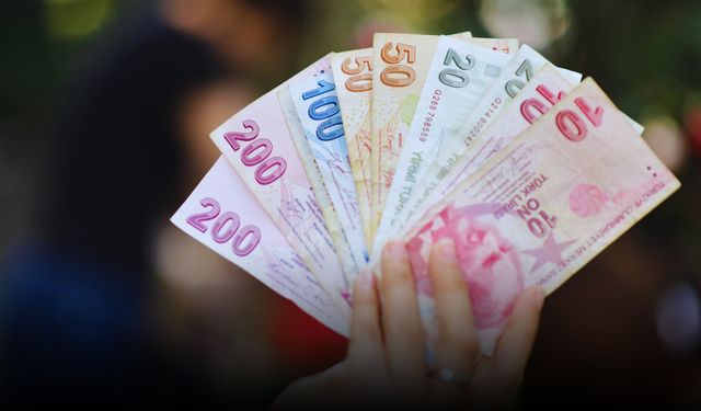 Şanlıurfa Valisi Duyurdu: 55 Bin Lira Ödül Var