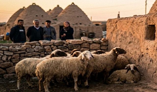 Şanlıurfa’da Mahallede Tedirginlik: 15 Günde İkinci Vaka!