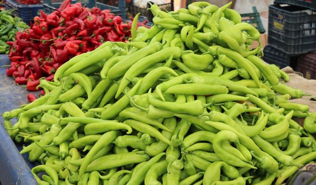 Şanlıurfa’da Günün Şampiyonu Biber Oldu: Kilosu 100 TL
