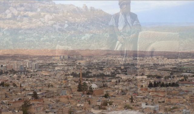 Fotoğraf İle Belgelendi: Şanlıurfa'da Ondan Sonra Görülmedi