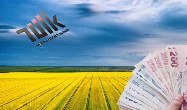 Bitkisel Ürün Denge Tabloları 2025 verileri açıklandı
