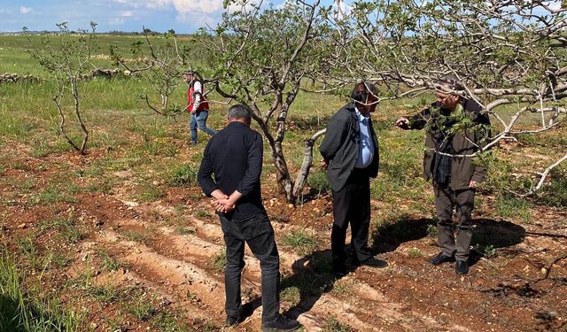 Şanlıurfa’da Dolu Yağışı Tarımı Vurdu: Hasar Tespit Çalışması Başladı