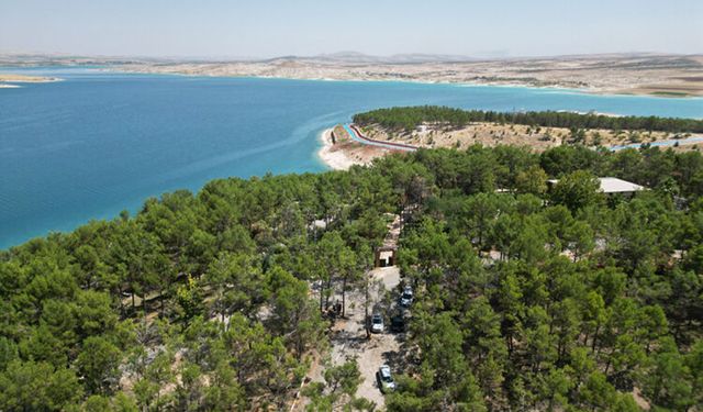 Şanlıurfa Bozova’da Piknik Sonrası Çöp Tepkisi