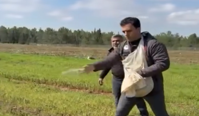 Şanlıurfa’da Traktör Giremedi: Eski Yöntem Devreye Girdi