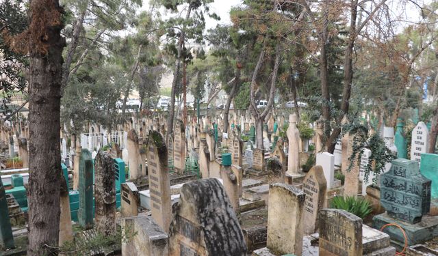 Şanlıurfa’da Mezarlıkta Gizemli Olay! Görenler Ne Olduğunu Anlayamadı