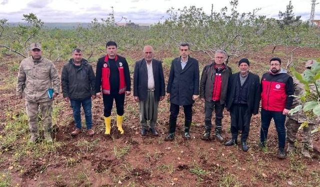 Yeşil Altın Darbe Aldı: Şanlıurfa’da Büyük Zarar