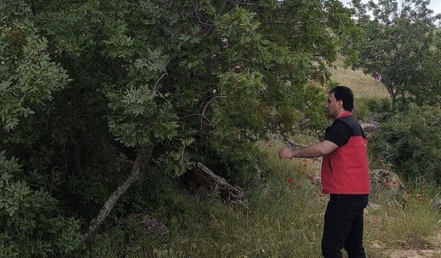 Haliliye’de Tarım Seferberliği! Üreticilerle Sahada Buluşma