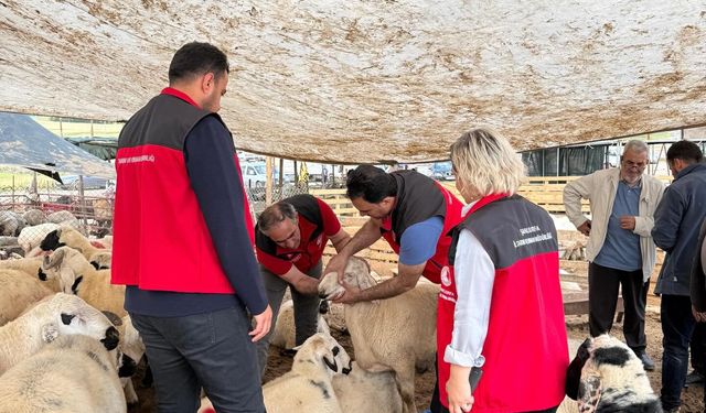 Kurbanlık Alacaklar Dikkat: Şanlıurfa’da Denetimler Arttı