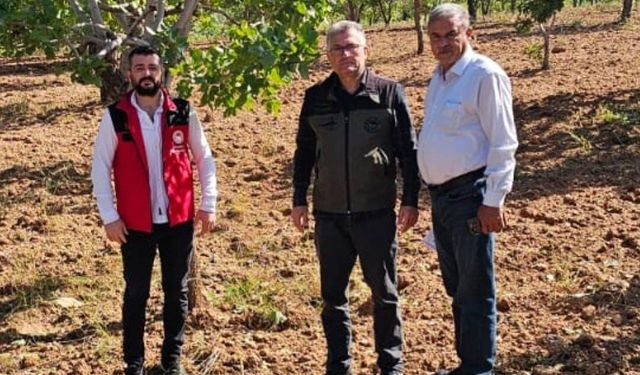 Şanlıurfa’da Doğa Vurdu! Çiftçiler Hasar Tespiti İçin Sıraya Girdi