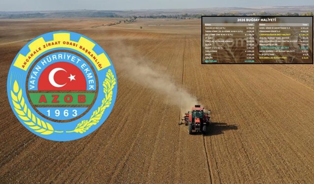 Akçakale Ziraat Odası’ndan 2026 Buğday Maliyeti Açıklaması