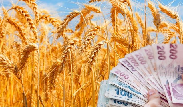 Şanlıurfa’da Hasat Öncesi Nakliye Krizi: 50 Kilometreye 15 Bin TL