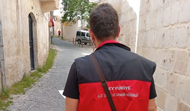 Şanlıurfa’da Denetim Şoku! Kurallara Uymayan Yandı