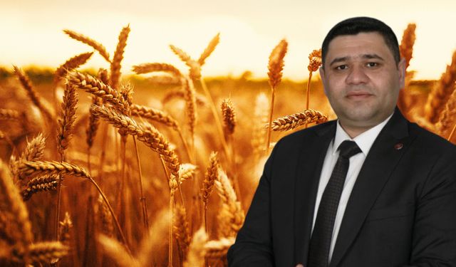 Şanlıurfa’da Hububat Ve Arpa Taşıma Ücreti Belli Oldu