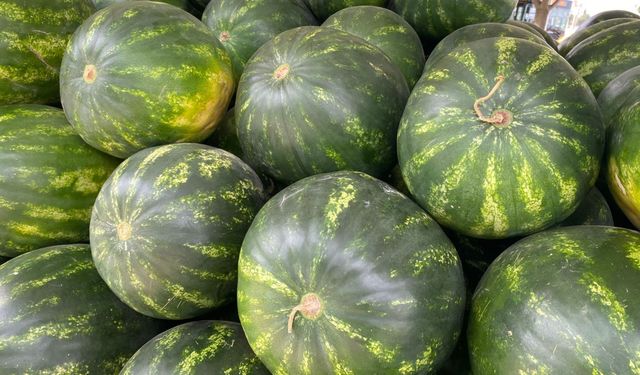 Şanlıurfa’da Karpuz Satışları Durdu: Esnaf Umduğunu Bulamadı