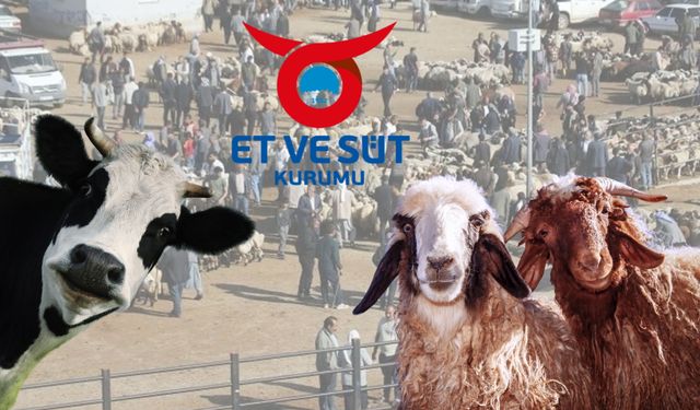 Şanlıurfa’da Satılamayan Kurbanlıklar İçin ESK Alım Fiyatları Açıklandı