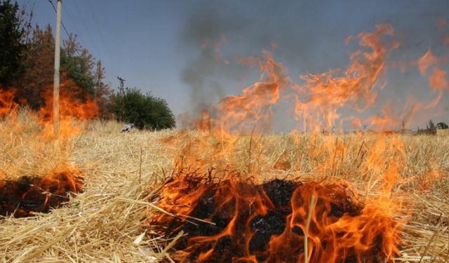 Şanlıurfa’daki Çiftçilere “Anız Yakmayın” Uyarısı