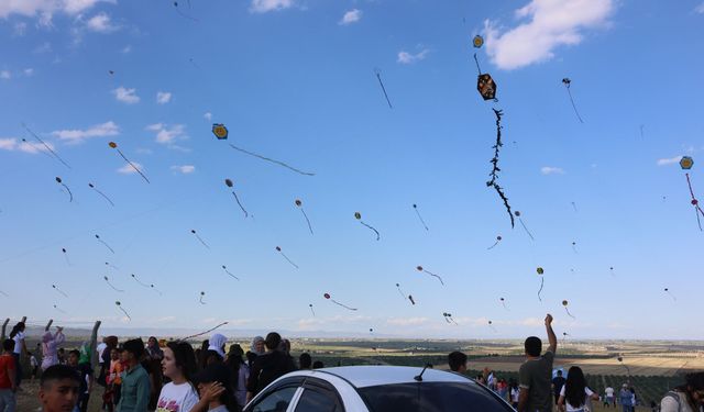 Şanlıurfa’daki Uçurtma Festivalinde Renkli Görüntüler Ortaya Çıktı
