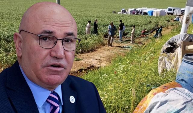 Şanlıurfa’nın Emekçileri Gaziantep’te Çadır Hayatına Mahkum Edildi