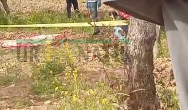 Şanlıurfa’da Kahreden Olay: Tarlaya Giden Kişi Yaşamını Yitirdi!
