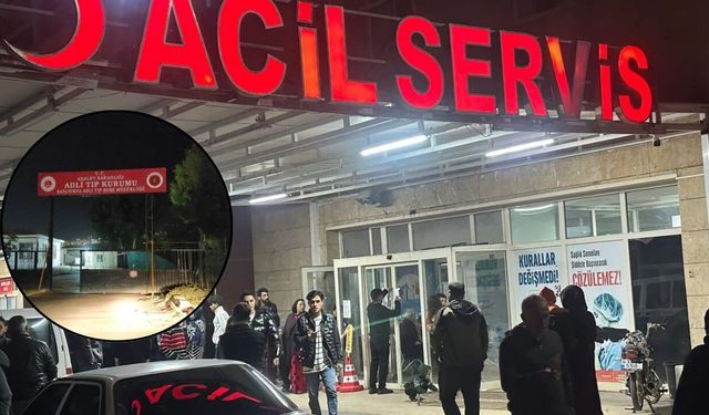 Şanlıurfa’da Sulama Kanalına Düşen 3 Yaşındaki Hacer Tim Hayatını Kaybetti