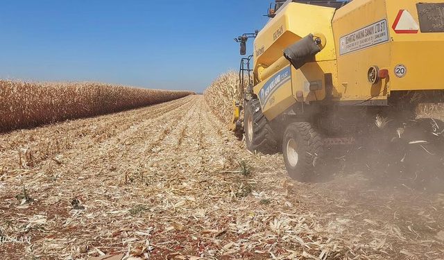 Çiftçinin Gözü Bu Listede: Buğday ve Arpa Kaç TL’den Satılıyor?