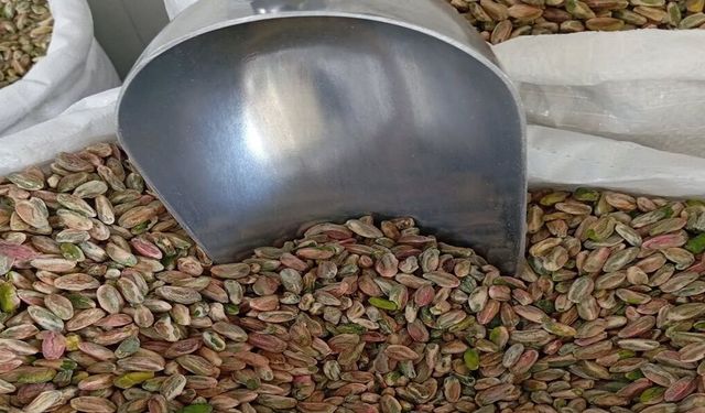 Fıstıkta Yeni Sezon Heyecanı! Şanlıurfa’da Fiyatlar Cep Yakıyor