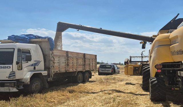 Şanlıurfa’da Hasat Kontrolü! Dane Kaybını Önleme Çalışması
